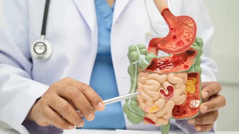 Đau bụng trên rốn âm ỉ là biểu hiện điển hình của khó tiêu
