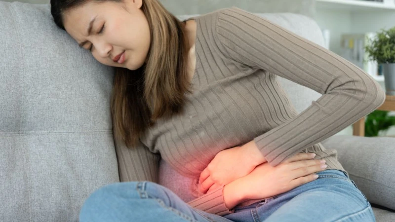 Dấu hiệu bị sán chó và cách phòng bệnh cần nắm 2