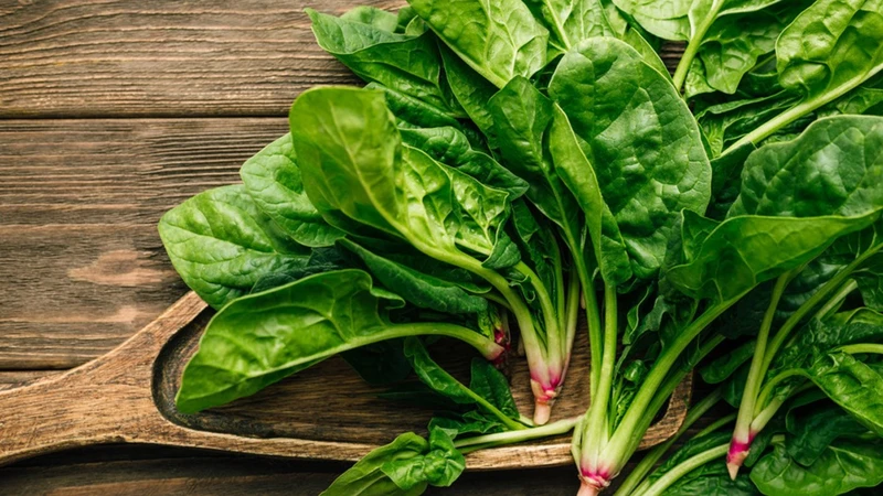 Rau chân vịt giàu vitamin K hỗ trợ tốt cho quá trình đông máu của cơ thể