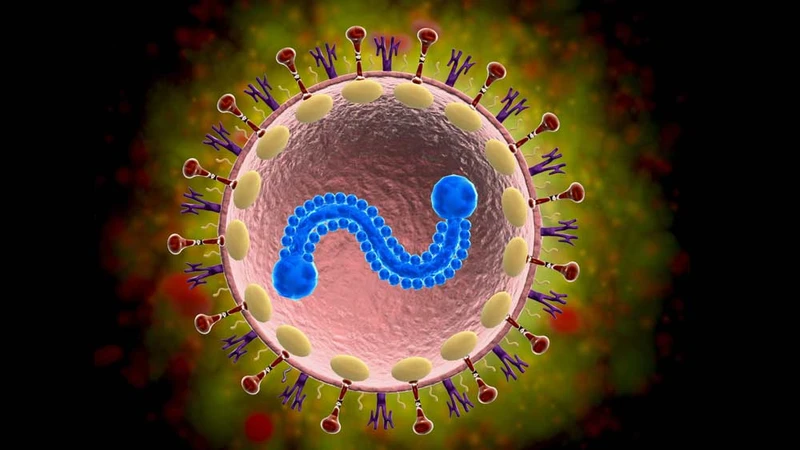 dau-hieu-nhiem-virus-rsv-ban-can-biet 1.jpg