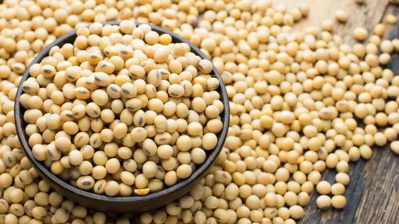 dau-nao-nhieu-protein-nhat-top-5-loai-dau-tot-cho-suc-khoe-1.png