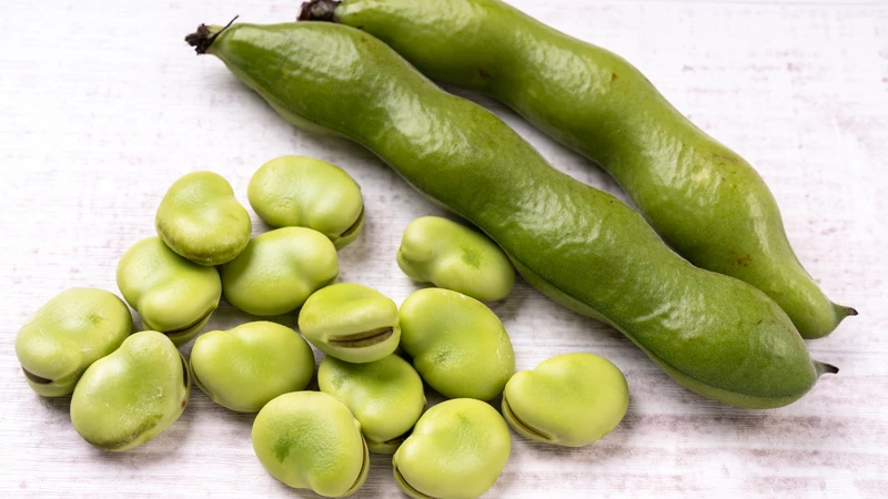 Đậu tằm là gì và có đặc điểm như thế nào?