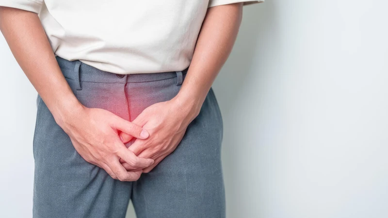 Nhiều cấu trúc giải phẫu phức tạp trong bìu có thể là nguồn gốc của cơn đau