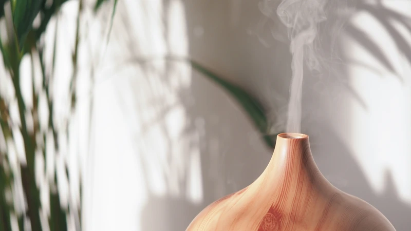 Xông tinh dầu tràm trong không gian sống giúp giảm muỗi và tạo hương thơm dễ chịu