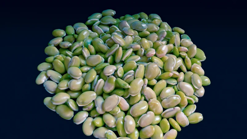 Đậu ván cung cấp nguồn protein thực vật dồi dào