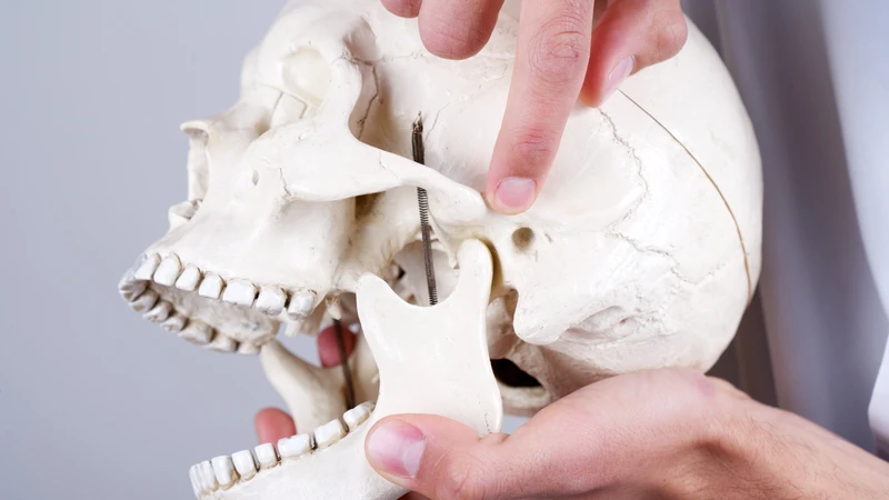 Viêm khớp thái dương hàm là một trong những nguyên nhân gây đau xương hàm vùng gần mang tai