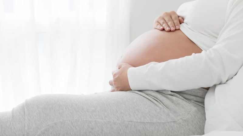 Dây chằng tròn là một phần của hệ thống nâng đỡ tử cung