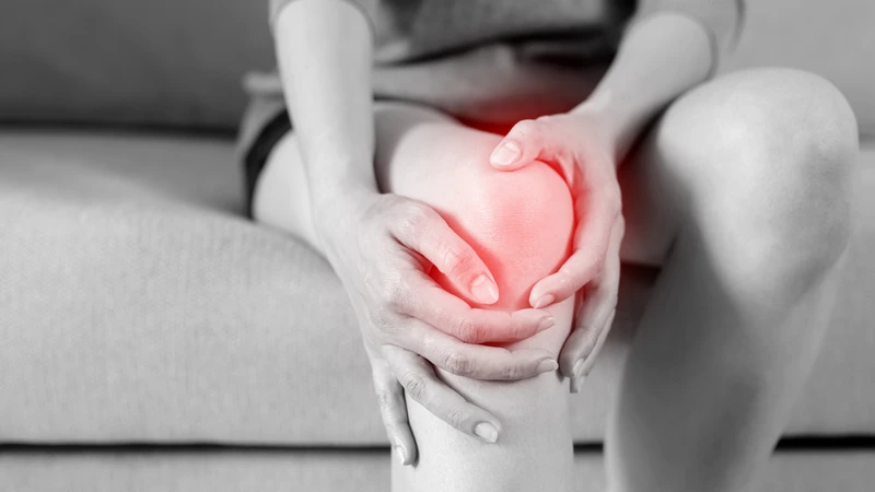 Hoạt chất từ dây đau xương được nghiên cứu về khả năng chống viêm, hỗ trợ giảm đau nhức xương khớp