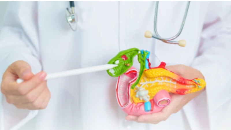 Dày thành túi mật là một dấu hiệu có thể gặp ở người mắc sốt xuất huyết, nhất là trong giai đoạn nguy kịch