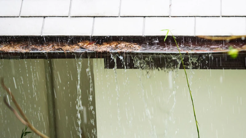 Dị ứng nước mưa là gì? Những thông tin cần biết 3