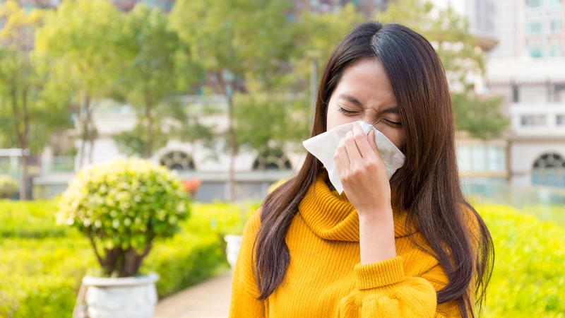 Dị ứng thời tiết: Nguyên nhân, triệu chứng và cách phòng ngừa hiệu quả 4