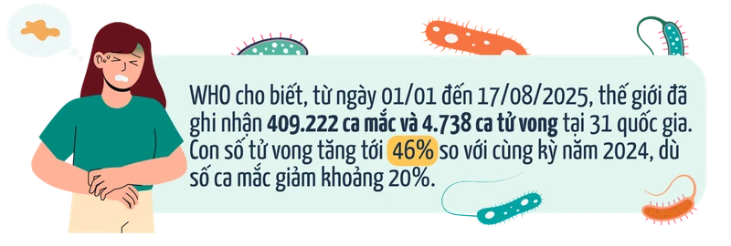 Dịch tả toàn cầu: Vì sao tử vong tăng 46% và đâu là 3 “lá chắn” phòng bệnh của Bộ Y tế? 1