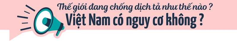 Dịch tả toàn cầu: Vì sao tử vong tăng 46% và đâu là 3 “lá chắn” phòng bệnh của Bộ Y tế? h2 3