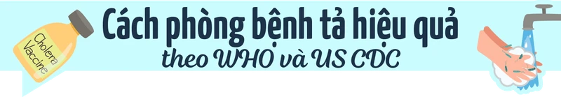 Dịch tả toàn cầu: Vì sao tử vong tăng 46% và đâu là 3 “lá chắn” phòng bệnh của Bộ Y tế? h2 4