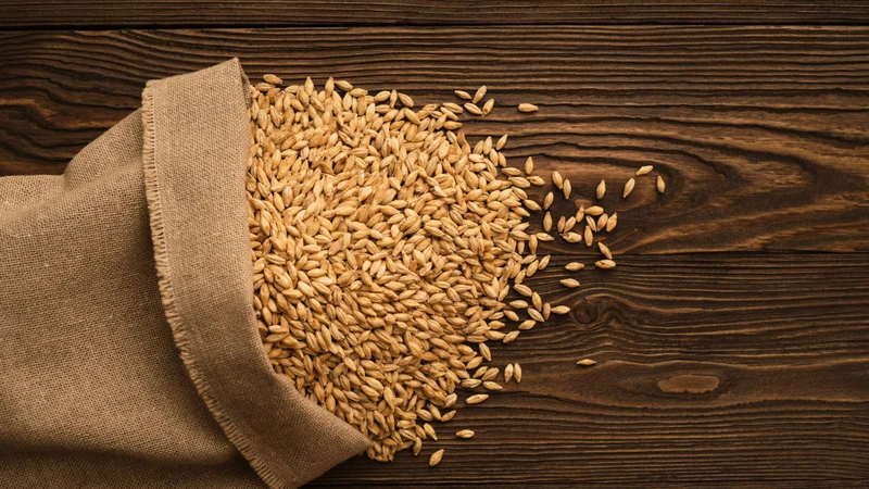 Lúa mạch chứa beta-glucan - một loại chất xơ hòa tan được cho là có khả năng hỗ trợ tăng tiết prolactin, hormone liên quan đến quá trình sản xuất sữa mẹ