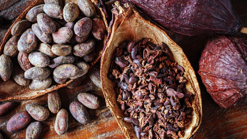 Ca cao là một trong những thực phẩm giàu polyphenol nhất
