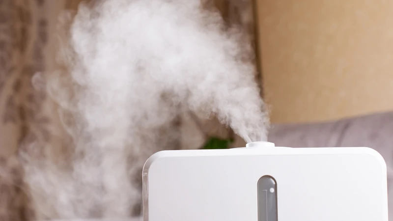 Độ ẩm quá cao tạo môi trường thuận lợi cho nấm mốc và một số tác nhân gây dị ứng