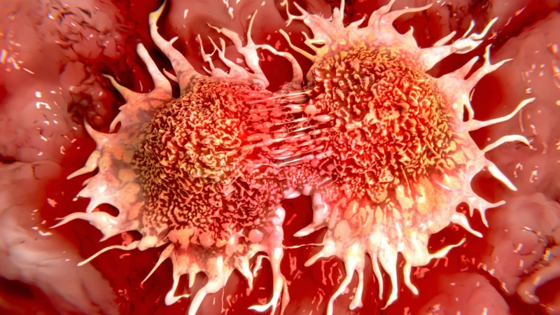 Đột biến gen BRCA1 và BRCA2 có thể làm tăng nguy cơ mắc một số ung thư
