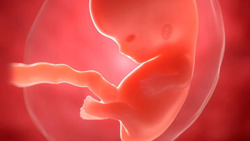 Dư ối có sao không là một vấn đề nhận được sự quan tâm của nhiều thai phụ