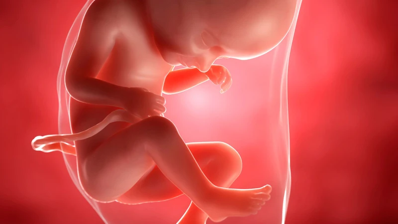 Dư ối và đa ối đều là tình trạng tăng lượng nước ối trong buồng tử cung