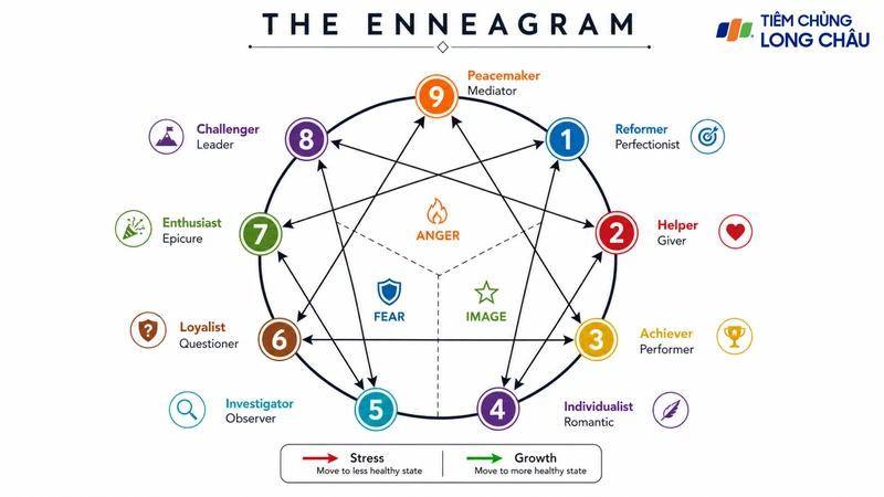 Enneagram mô tả tính cách theo 9 type với những động lực khác nhau