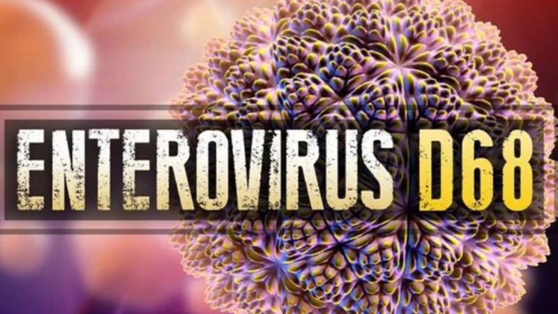 Enterovirus là gì? Những điều cần biết về Enterovirus 1