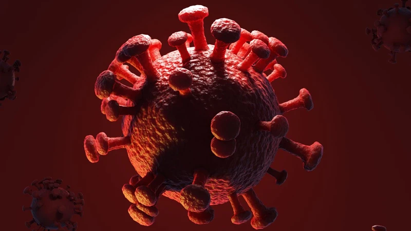 Enterovirus là gì? Những điều cần biết về Enterovirus 2