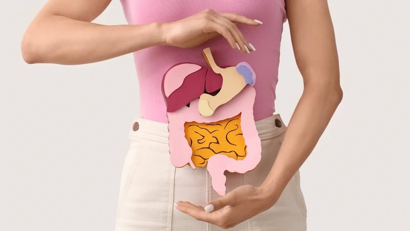 Enzyme maltase là một phần không thể thiếu của hệ tiêu hóa khỏe mạnh