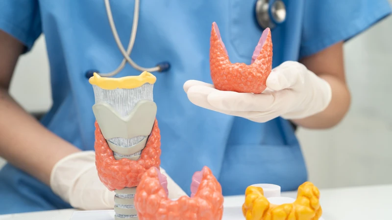 Theo dõi và xử trí eo tuyến giáp đúng cách