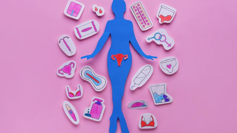 Estradiol là hormone estrogen chính, đóng vai trò quan trọng trong sức khỏe sinh sản nữ