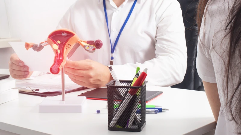 Nồng độ estradiol tăng dần theo sự phát triển của các nang noãn