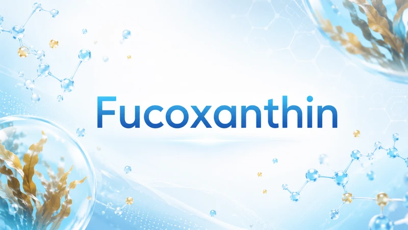 Fucoxanthin được nghiên cứu với nhiều tác dụng sinh học tiềm năng