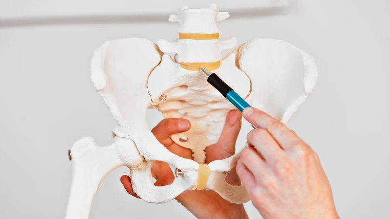 Vị trí đốt sống S1 trong cấu trúc cột sống thắt lưng - cùng