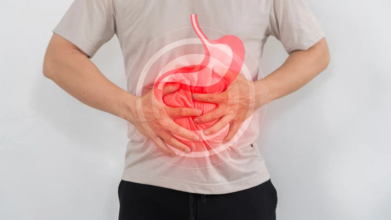 Công dụng nổi bật nhất của GOS là khả năng nuôi dưỡng và thúc đẩy sự phát triển của lợi khuẩn trong đường ruột