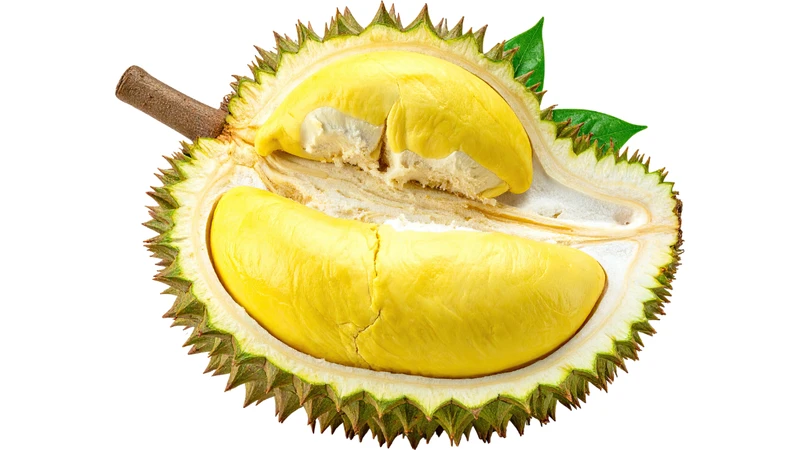 Ăn nhiều sầu riêng làm tăng áp lực lên gan