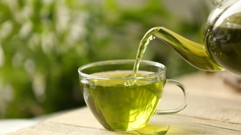 Catechin trong chè xanh giúp hỗ trợ chống oxy hóa và giảm tích tụ mỡ trong gan