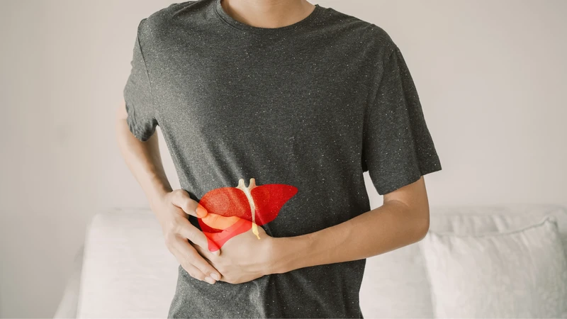 Gan thải độc qua đường nào? Cơ chế tự nhiên bảo vệ cơ thể bạn mỗi ngày 1
