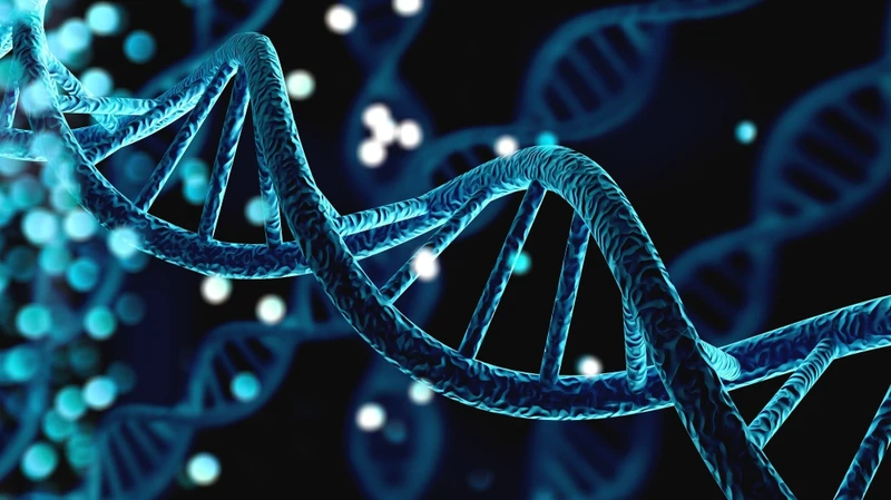 Trong tương tác át chế, một gene có thể che lấp sự biểu hiện của gene không alen khác