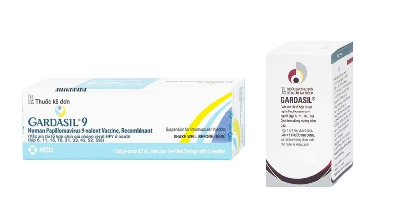 Giá tiêm HPV ở Quy Nhơn: Cập nhật mới nhất và địa chỉ uy tín 3
