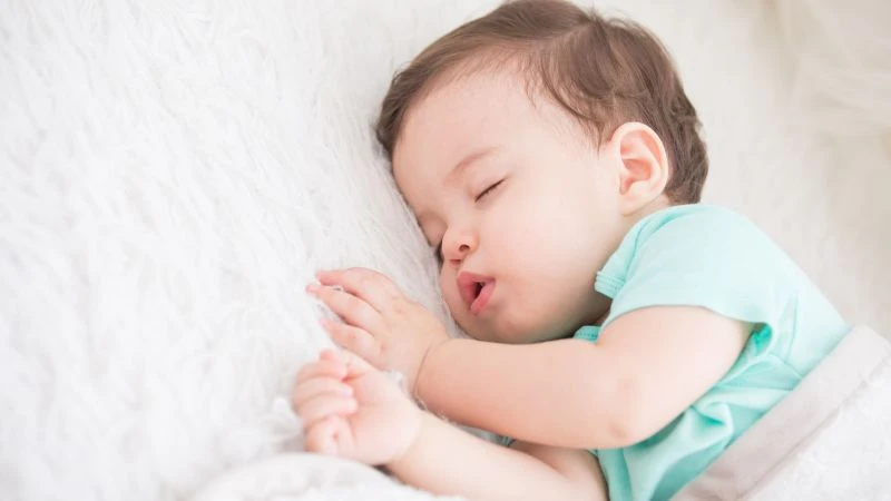 Chu kỳ giấc ngủ bao gồm giấc ngủ nông, giấc ngủ sâu và giai đoạn REM