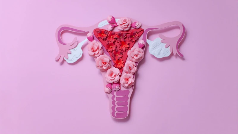 Tình trạng vòi trứng là một trong các yếu tố quyết định đến việc có làm IUI được không