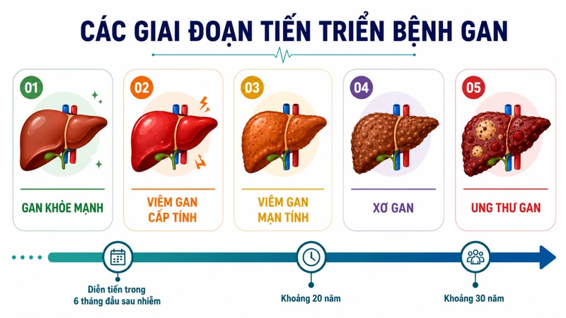 Giai đoạn cửa sổ viêm gan B liên quan đến sự thay đổi các dấu ấn huyết thanh