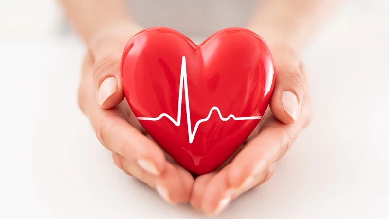 Tim đập nhanh hồi hộp khó ngủ đôi khi chỉ là phản ứng sinh lý nhưng cũng có thể là dấu hiệu bất thường