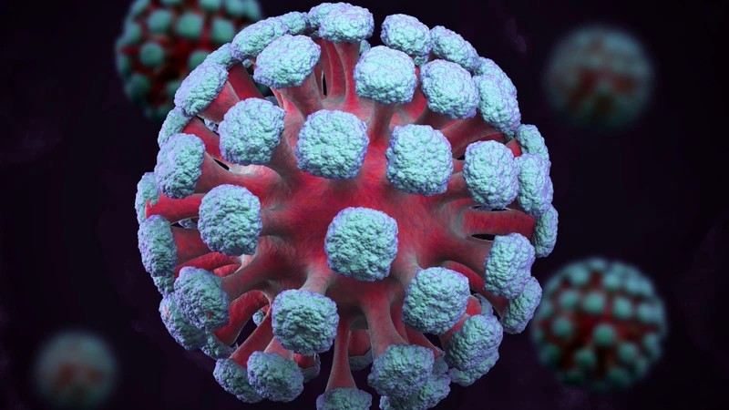 Giặt chung quần áo có lây HPV không?