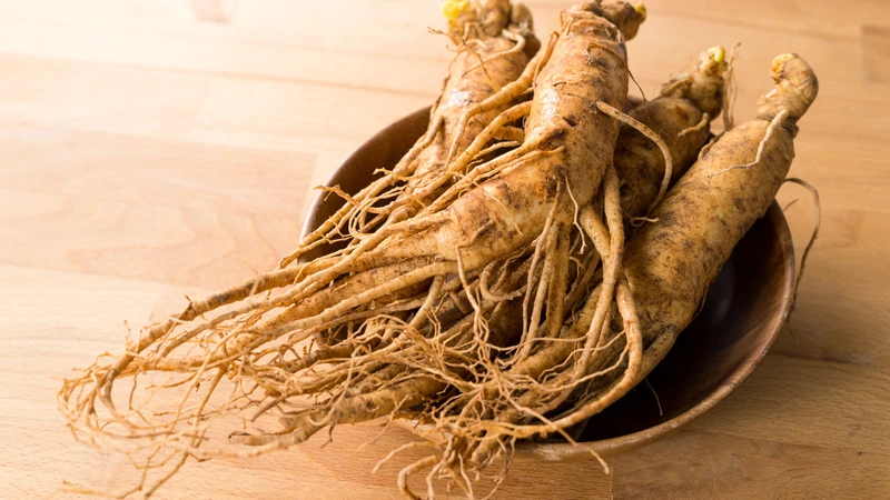 Tuổi của củ sâm là một trong những yếu tố ảnh hưởng đến hàm lượng Ginsenoside