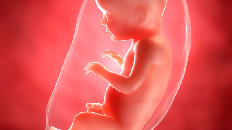 Góc ối sâu nhất bao nhiêu là bình thường
