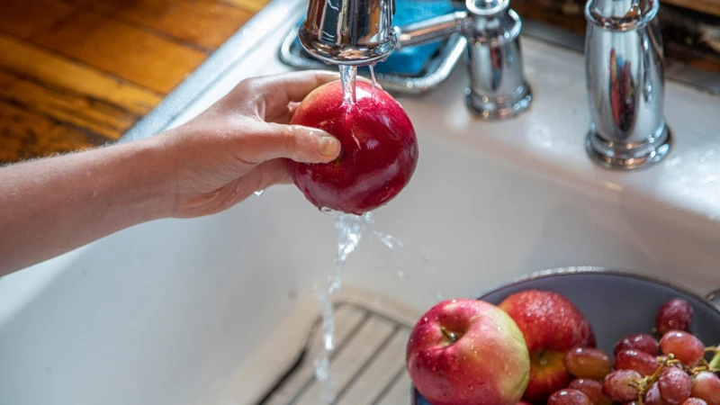 Gợi ý những loại trái cây bổ máu cho bà bầu 4