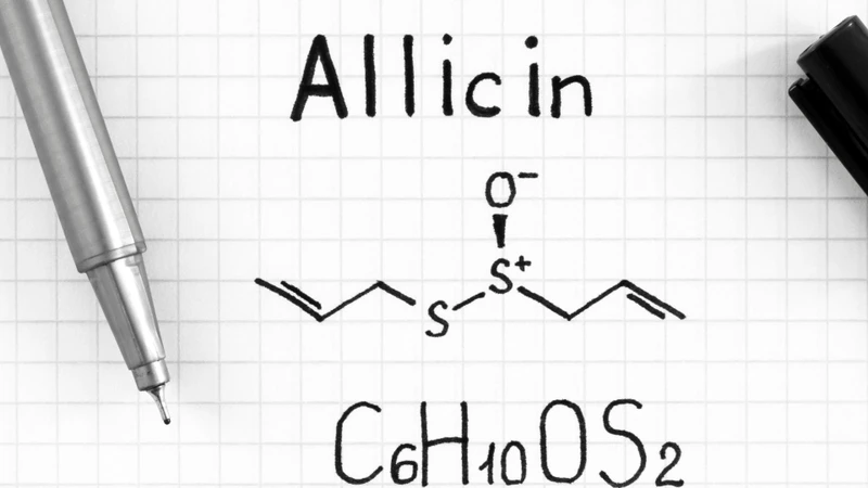 Hàm lượng allicin được tạo thành khi tỏi được cắt hoặc nghiền