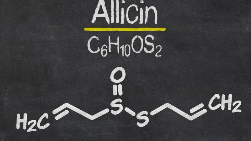 Hàm lượng allicin trong sản phẩm cần được chuẩn hóa rõ ràng