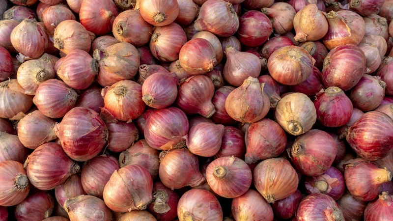 Hành tím cung cấp quercetin và các hợp chất thực vật có hoạt tính chống oxy hóa